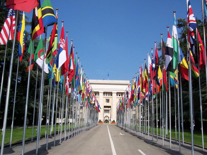 hvorfor flagger flirter foran FN