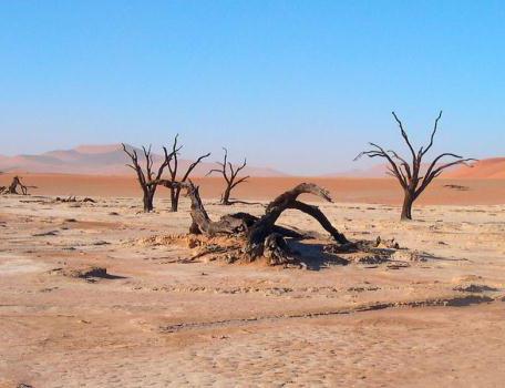 ørken miljø problemer