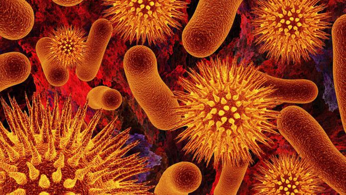 Den negative og positive rollen av bakterier