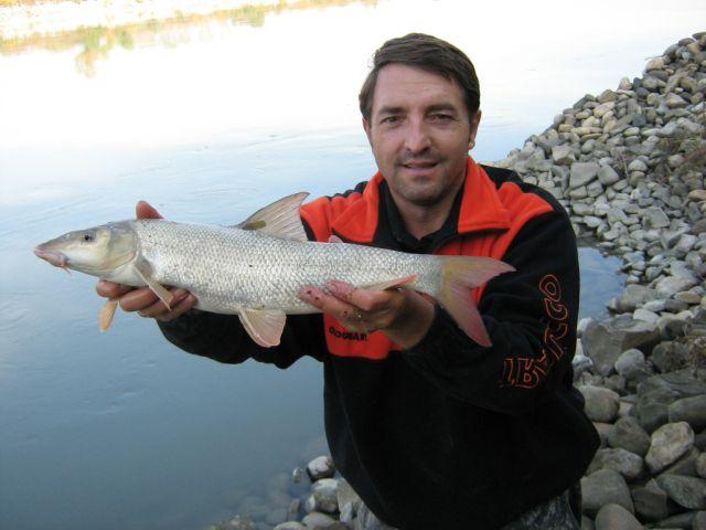 Tsimlyanskoe reservoar fiske