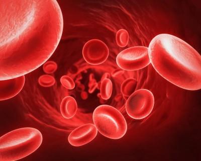 Hva er normen for hemoglobin i blod av menn og kvinner?